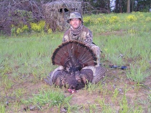 Turkey Hunts Photo